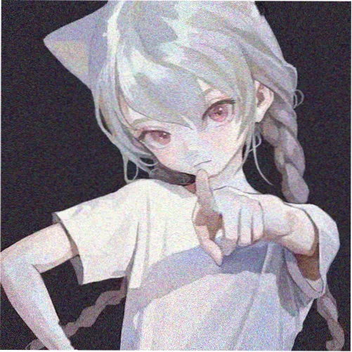 新新用户